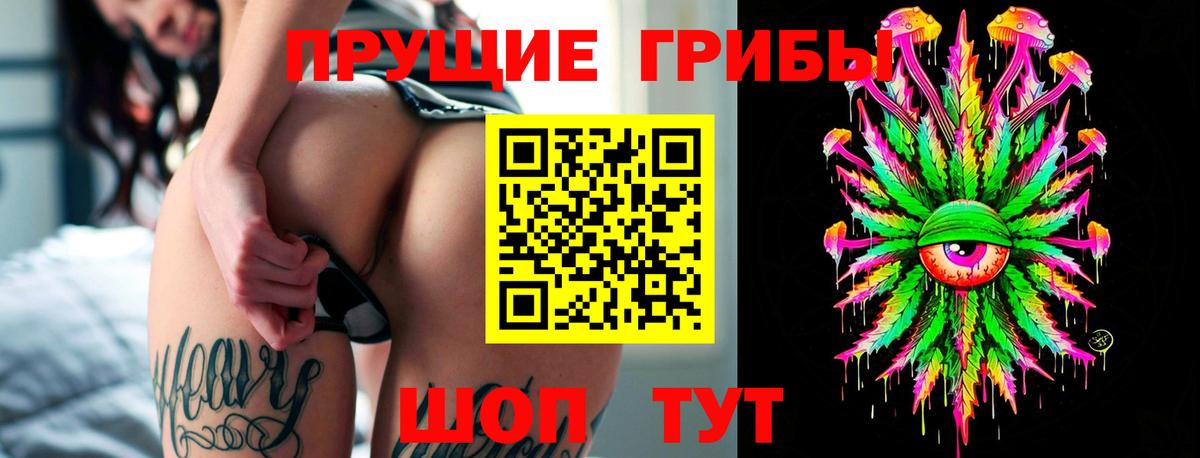 Карпинск  Псилоцибиновые грибы ЛСД  Вход с VPN 